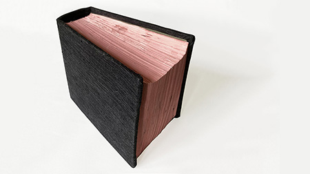 Picture Flipbook