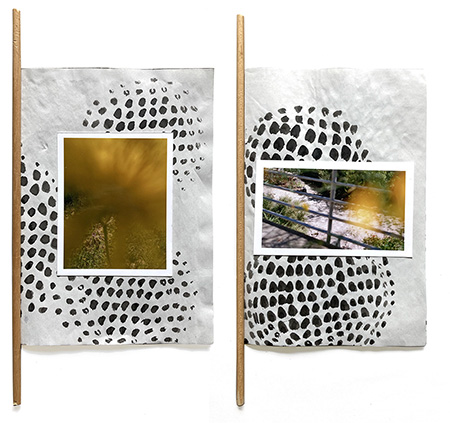 Picture Section 1
